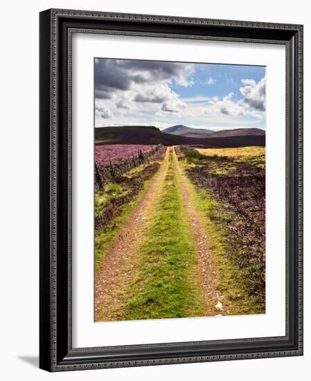 Rural Country Scene in the North of England UK-Mark Sunderland-Framed Photographic Print