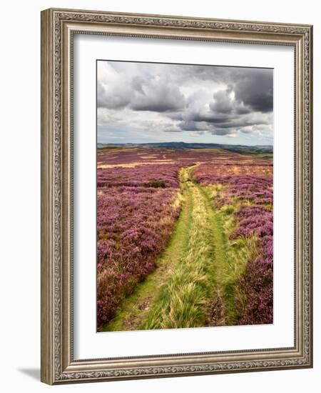 Rural Country Scene in the North of England UK-Mark Sunderland-Framed Photographic Print