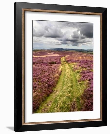 Rural Country Scene in the North of England UK-Mark Sunderland-Framed Photographic Print