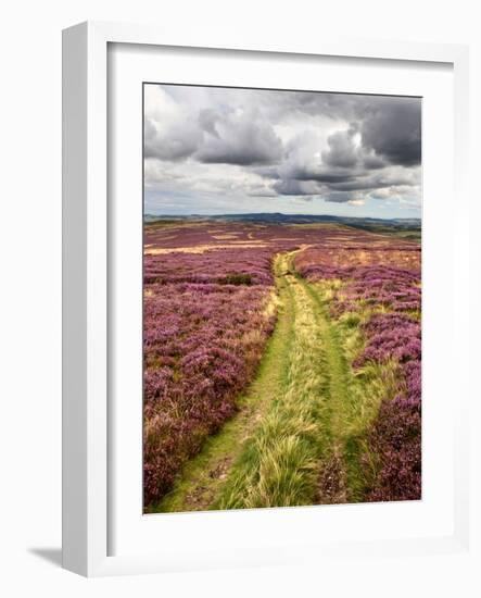 Rural Country Scene in the North of England UK-Mark Sunderland-Framed Photographic Print