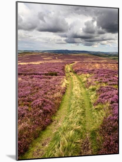 Rural Country Scene in the North of England UK-Mark Sunderland-Mounted Photographic Print