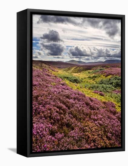 Rural Country Scene in the North of England UK-Mark Sunderland-Framed Premier Image Canvas