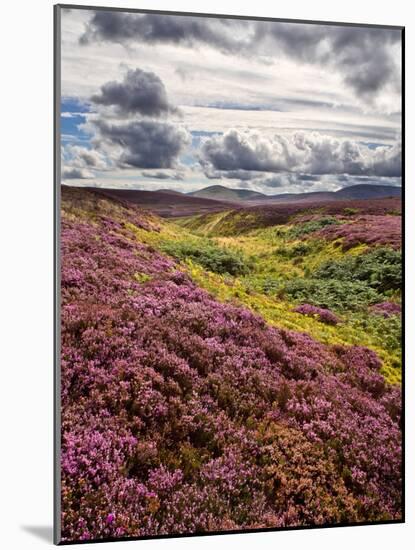 Rural Country Scene in the North of England UK-Mark Sunderland-Mounted Photographic Print