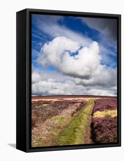 Rural Country Scene in the North of England UK-Mark Sunderland-Framed Premier Image Canvas