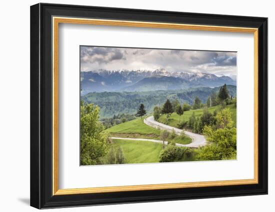 Rural Countryside and Carpathian Mountains Near Bran Castle at Pestera, Transylvania, Romania-Matthew Williams-Ellis-Framed Photographic Print