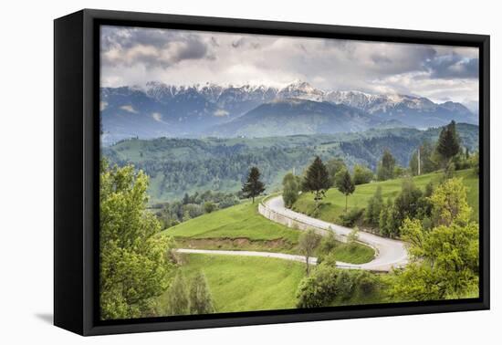 Rural Countryside and Carpathian Mountains Near Bran Castle at Pestera, Transylvania, Romania-Matthew Williams-Ellis-Framed Premier Image Canvas