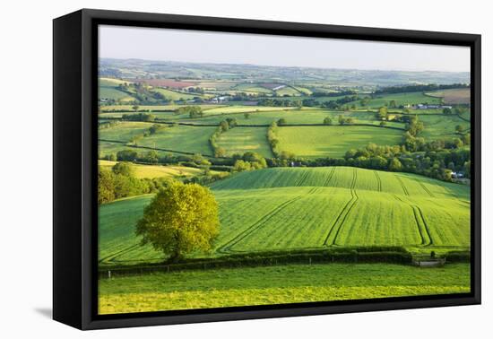 Rural English summer countryside scenes near Stockleigh Pomeroy, Devon, England. Summer (June) 2009-Adam Burton-Framed Premier Image Canvas