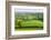 Rural English summer countryside scenes near Stockleigh Pomeroy, Devon, England. Summer (June) 2009-Adam Burton-Framed Photographic Print