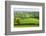 Rural English summer countryside scenes near Stockleigh Pomeroy, Devon, England. Summer (June) 2009-Adam Burton-Framed Photographic Print