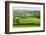 Rural English summer countryside scenes near Stockleigh Pomeroy, Devon, England. Summer (June) 2009-Adam Burton-Framed Photographic Print