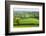 Rural English summer countryside scenes near Stockleigh Pomeroy, Devon, England. Summer (June) 2009-Adam Burton-Framed Photographic Print