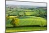 Rural English summer countryside scenes near Stockleigh Pomeroy, Devon, England. Summer (June) 2009-Adam Burton-Mounted Photographic Print