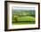 Rural English summer countryside scenes near Stockleigh Pomeroy, Devon, England. Summer (June) 2009-Adam Burton-Framed Photographic Print