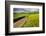 Rural farm road through yellow canola and green wheat crops, Palouse region of eastern Washington.-Adam Jones-Framed Photographic Print