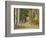 Rural Forest Road Through Aspen Trees, Gunnison National Forest, Colorado, USA-Adam Jones-Framed Photographic Print