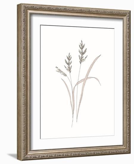 Rural Heritage Grasses 1-Sweet Melody Designs-Framed Art Print