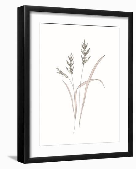 Rural Heritage Grasses 1-Sweet Melody Designs-Framed Art Print