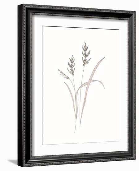 Rural Heritage Grasses 1-Sweet Melody Designs-Framed Art Print