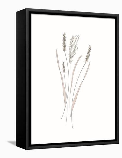 Rural Heritage Grasses 2-Sweet Melody Designs-Framed Stretched Canvas