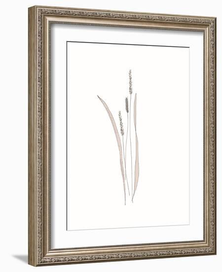 Rural Heritage Grasses 4-Sweet Melody Designs-Framed Art Print