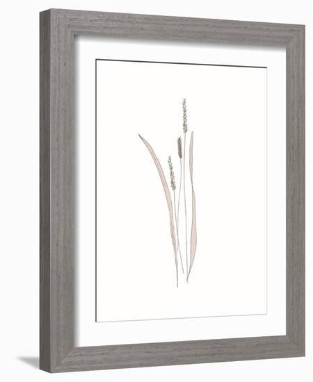 Rural Heritage Grasses 4-Sweet Melody Designs-Framed Art Print