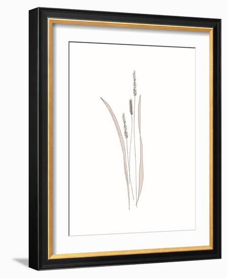 Rural Heritage Grasses 4-Sweet Melody Designs-Framed Art Print