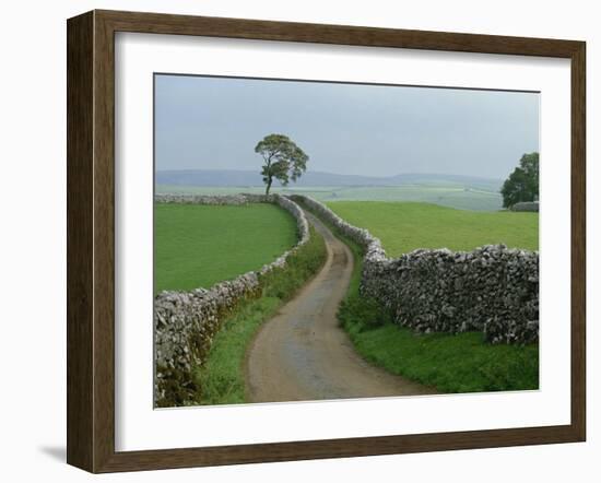 Rural Landscape and Road, Yorkshire, England, United Kingdom, Europe-Woolfitt Adam-Framed Photographic Print