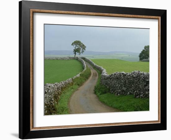 Rural Landscape and Road, Yorkshire, England, United Kingdom, Europe-Woolfitt Adam-Framed Photographic Print