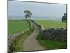 Rural Landscape and Road, Yorkshire, England, United Kingdom, Europe-Woolfitt Adam-Mounted Photographic Print