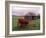 Rural Landscape and Wheelbarrow, Kilmuir, Isle of Skye, Scotland-Gavriel Jecan-Framed Photographic Print