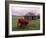 Rural Landscape and Wheelbarrow, Kilmuir, Isle of Skye, Scotland-Gavriel Jecan-Framed Photographic Print