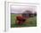 Rural Landscape and Wheelbarrow, Kilmuir, Isle of Skye, Scotland-Gavriel Jecan-Framed Photographic Print