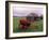 Rural Landscape and Wheelbarrow, Kilmuir, Isle of Skye, Scotland-Gavriel Jecan-Framed Photographic Print