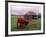 Rural Landscape and Wheelbarrow, Kilmuir, Isle of Skye, Scotland-Gavriel Jecan-Framed Photographic Print