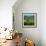 Rural Landscape, Dordogne, Aquitaine, France-Tony Gervis-Framed Photographic Print displayed on a wall