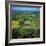 Rural Landscape, Dordogne, Aquitaine, France-Tony Gervis-Framed Photographic Print