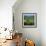 Rural Landscape, Dordogne, Aquitaine, France-Tony Gervis-Framed Photographic Print displayed on a wall