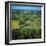 Rural Landscape, Dordogne, Aquitaine, France-Tony Gervis-Framed Photographic Print