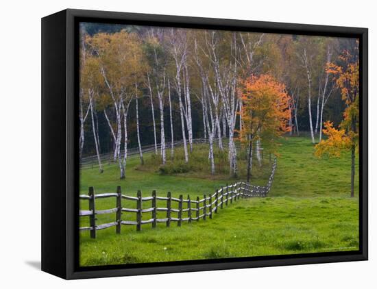 Rural Landscape, East Arlington, Vermont, USA-Joe Restuccia III-Framed Premier Image Canvas