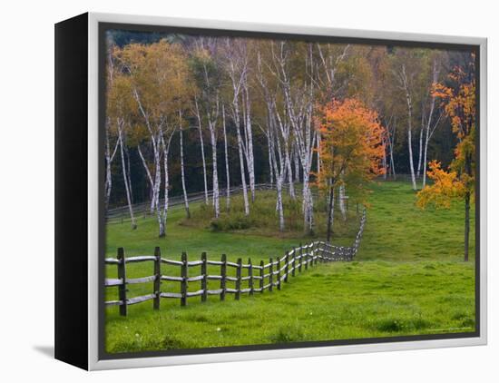 Rural Landscape, East Arlington, Vermont, USA-Joe Restuccia III-Framed Premier Image Canvas