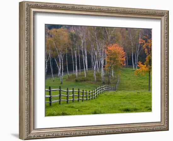 Rural Landscape, East Arlington, Vermont, USA-Joe Restuccia III-Framed Photographic Print