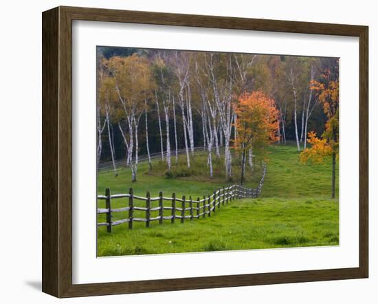 Rural Landscape, East Arlington, Vermont, USA-Joe Restuccia III-Framed Photographic Print