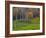 Rural Landscape, East Arlington, Vermont, USA-Joe Restuccia III-Framed Photographic Print