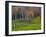 Rural Landscape, East Arlington, Vermont, USA-Joe Restuccia III-Framed Photographic Print