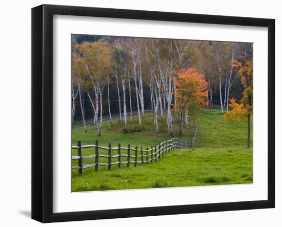 Rural Landscape, East Arlington, Vermont, USA-Joe Restuccia III-Framed Photographic Print