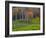 Rural Landscape, East Arlington, Vermont, USA-Joe Restuccia III-Framed Photographic Print