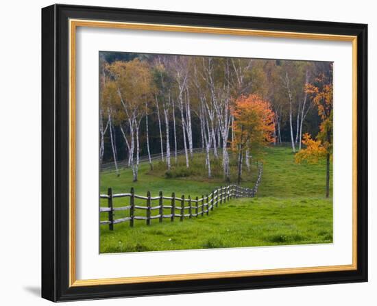 Rural Landscape, East Arlington, Vermont, USA-Joe Restuccia III-Framed Photographic Print