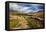 Rural Landscape in North Yorkshire, England-Mark Sunderland-Framed Premier Image Canvas