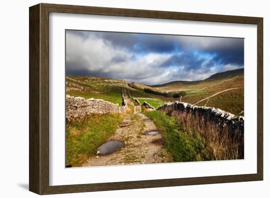 Rural Landscape in North Yorkshire, England-Mark Sunderland-Framed Photographic Print