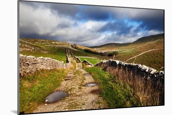 Rural Landscape in North Yorkshire, England-Mark Sunderland-Mounted Photographic Print